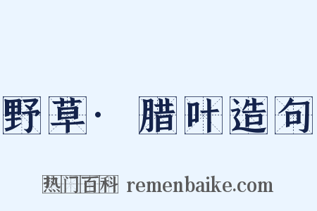 野草·腊叶造句是什么意思的图片